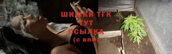 дживик Заводоуковск