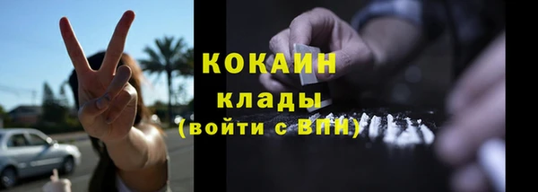 крисы Зеленодольск