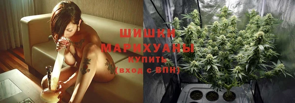 крисы Зеленодольск