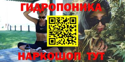 бошки Можга