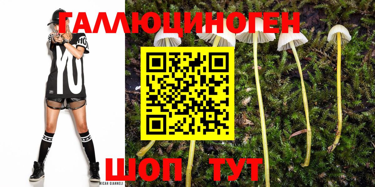 Галлюциногенные грибы Cubensis  Вход с VPN  Кашира 