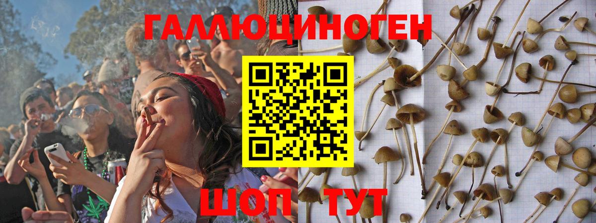Псилоцибиновые грибы мицелий Кашира